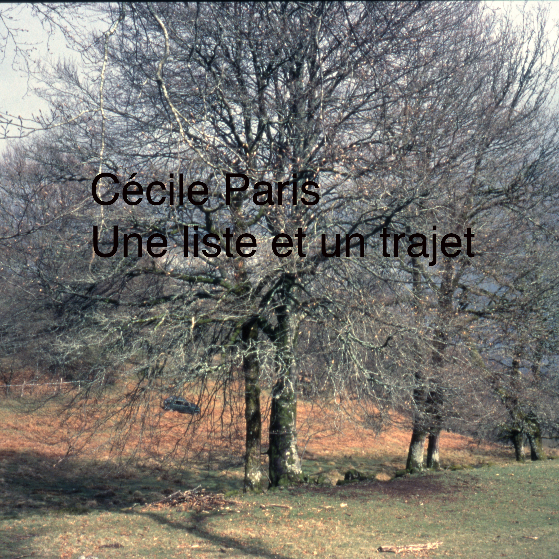 Cécile Paris